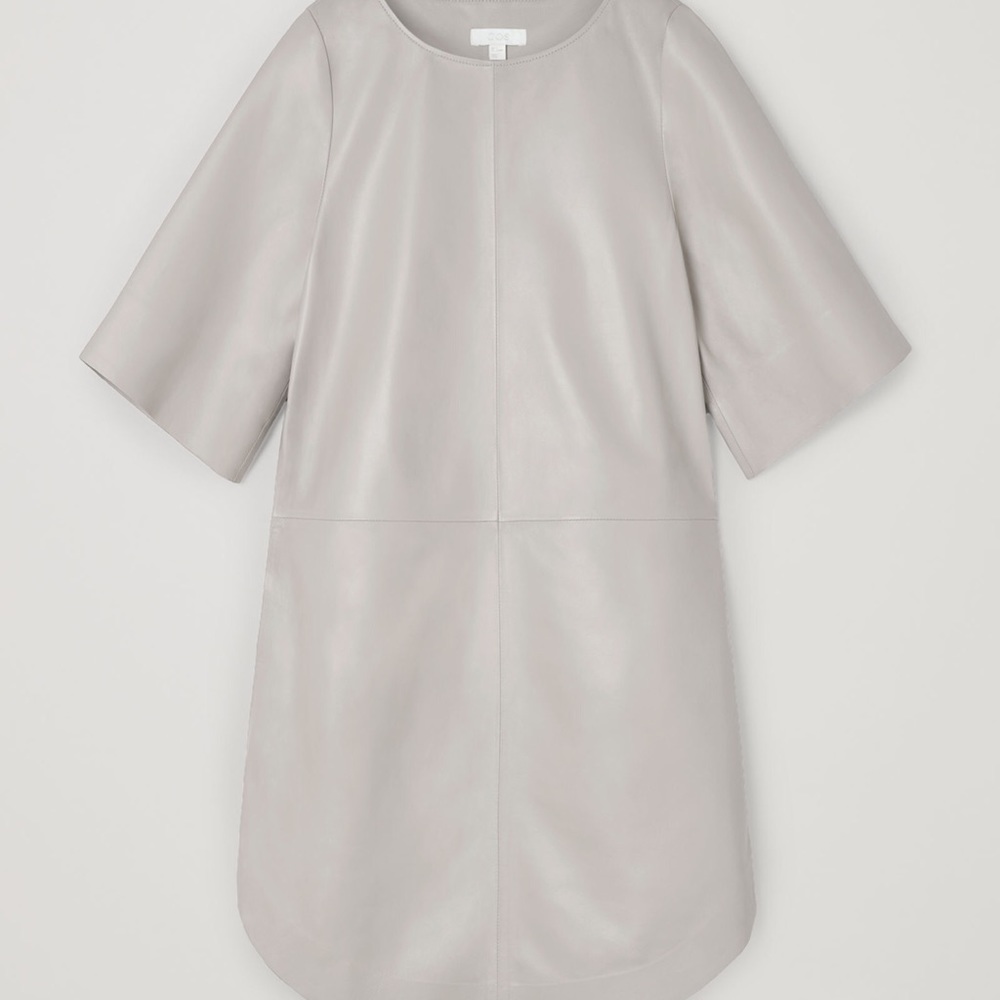 COS Leather Dress (size M)